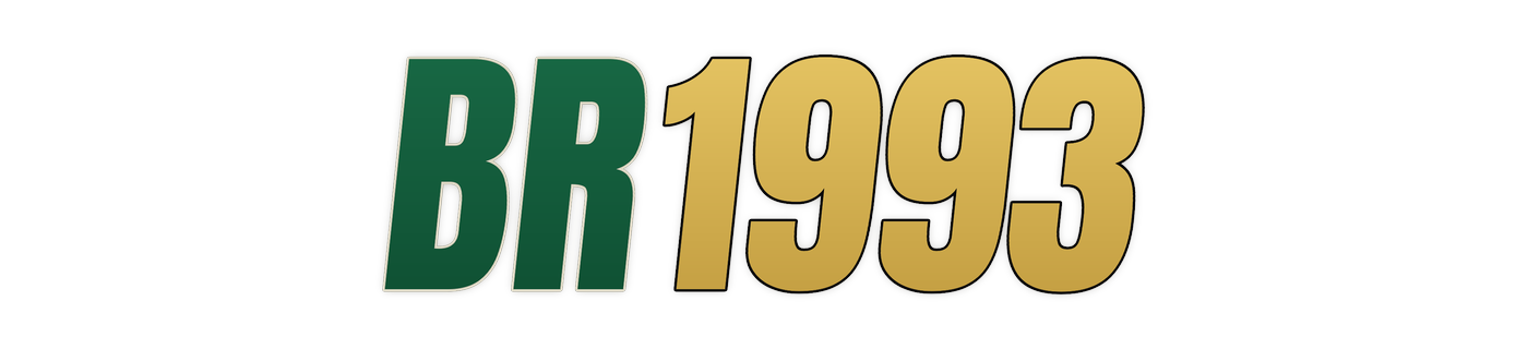 br1993